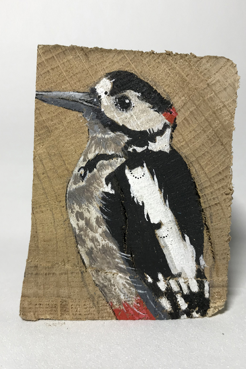 Great spotted woodpecker painted by Ashley James